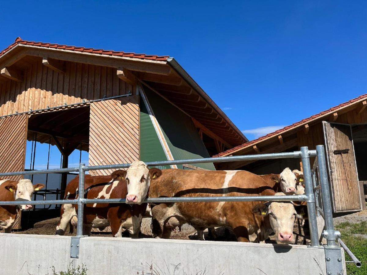 Landgasthof Blasini - Pfahlhof Zandt Εξωτερικό φωτογραφία