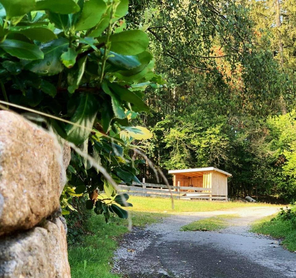Landgasthof Blasini - Pfahlhof Zandt Εξωτερικό φωτογραφία