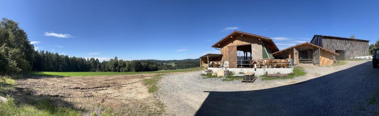 Landgasthof Blasini - Pfahlhof Zandt Εξωτερικό φωτογραφία