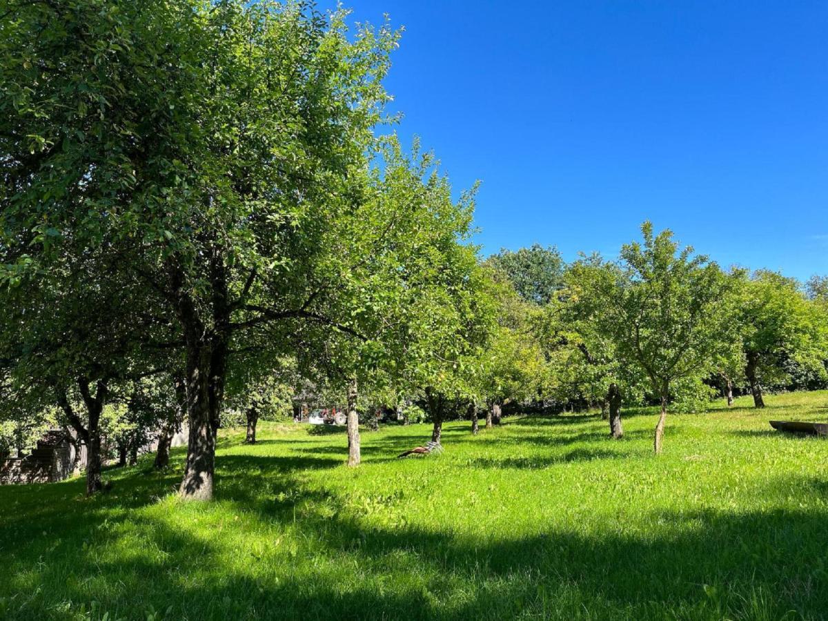 Landgasthof Blasini - Pfahlhof Zandt Εξωτερικό φωτογραφία